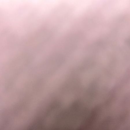 BB