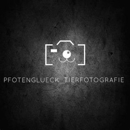Pfotenglueck_Tierfotografie