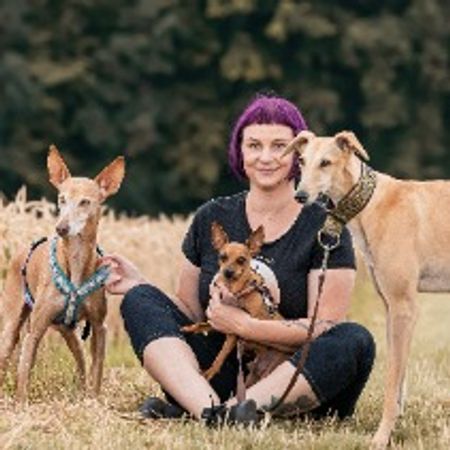 Hundeschule Anders-Artig