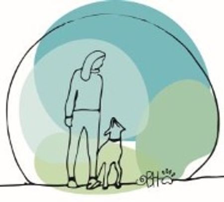 Teamtraining Mensch-Hund