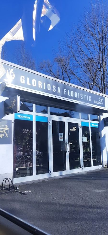 Gloriosa Floristik