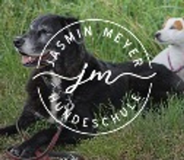 Hundeschule Jasmin Meyer (Jedermann-Jederhund) 